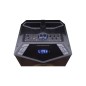 MusicBox X150 Mediacom Altoparlante LED Microfono senza fili  Bluetooth